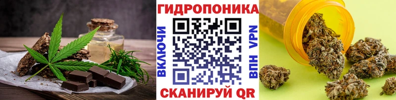 Canna-Cookies конопля Макушино