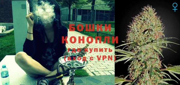 PSILOCYBIN Нязепетровск