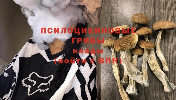 ALPHA-PVP Новокубанск