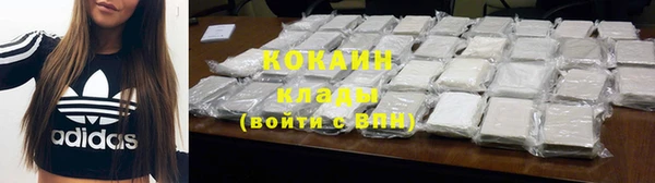 PSILOCYBIN Нязепетровск