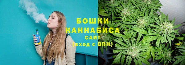 PSILOCYBIN Нязепетровск
